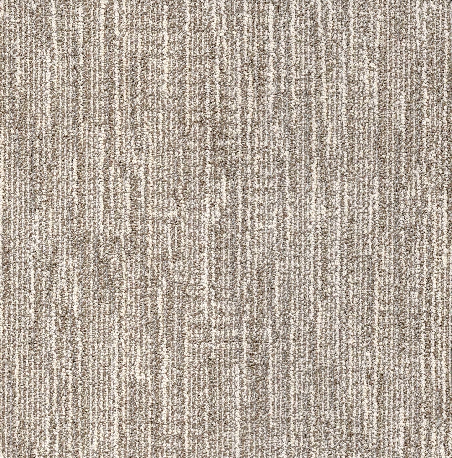 Andromeda — Wild Truffle wide view
