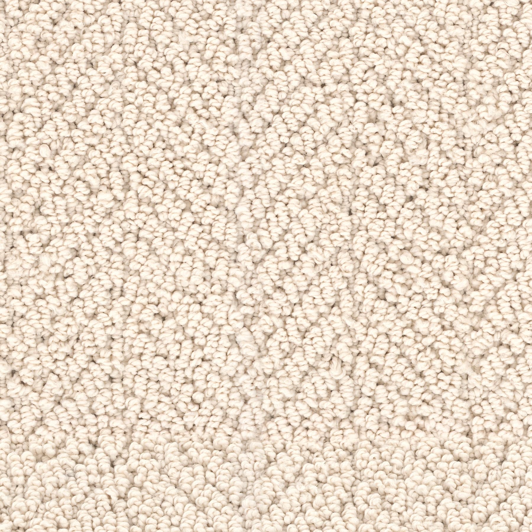 Arcadia — Lace close-up