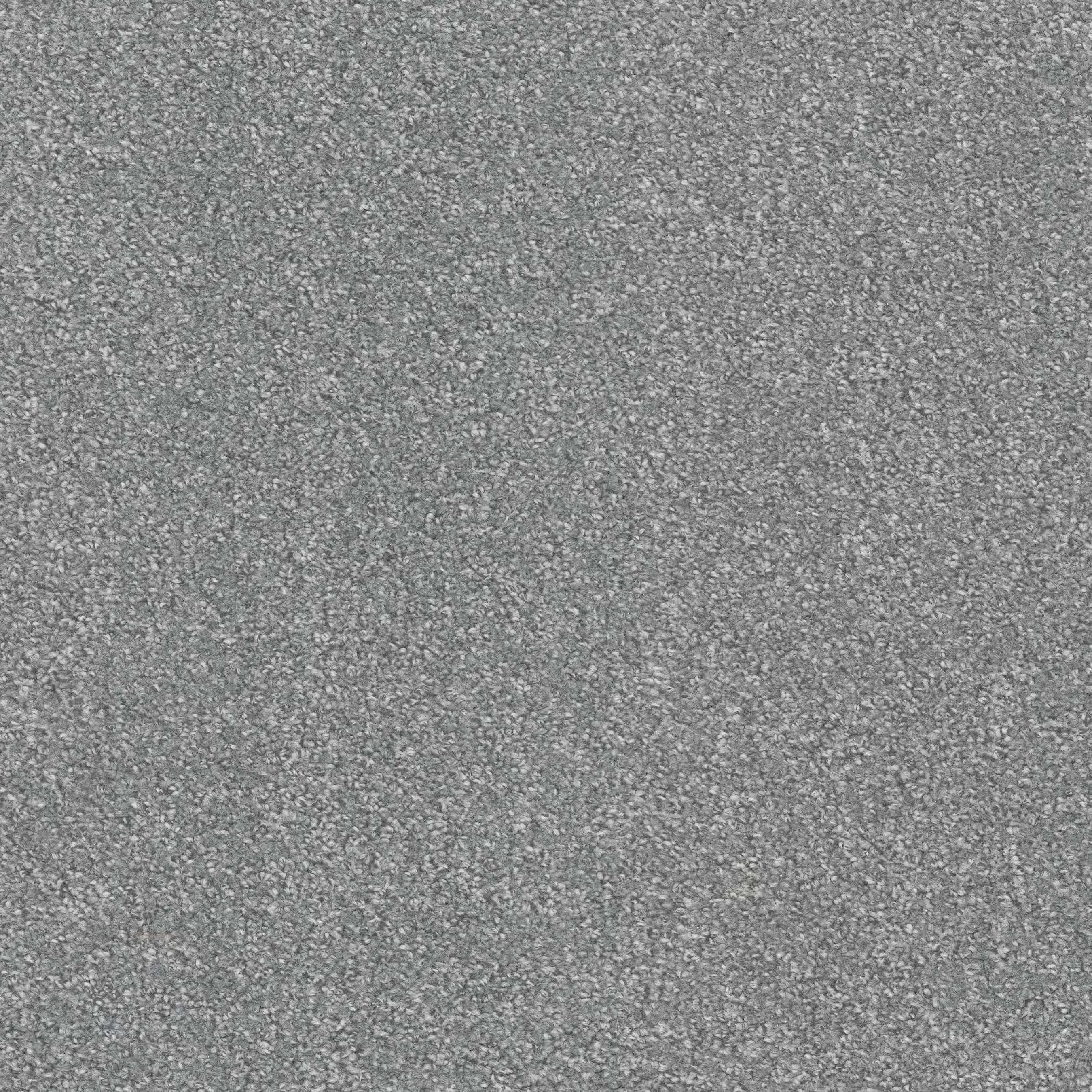 Aspire — Alpaca wide view