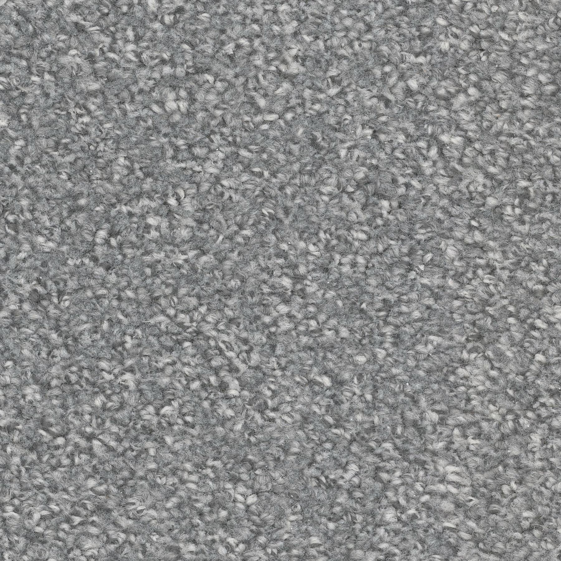 Aspire — Alpaca close-up