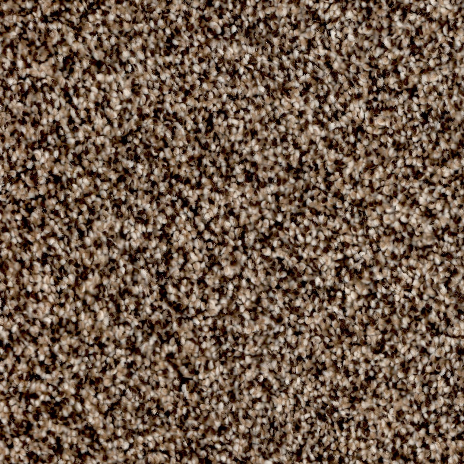 Believer — Antique Brown close-up
