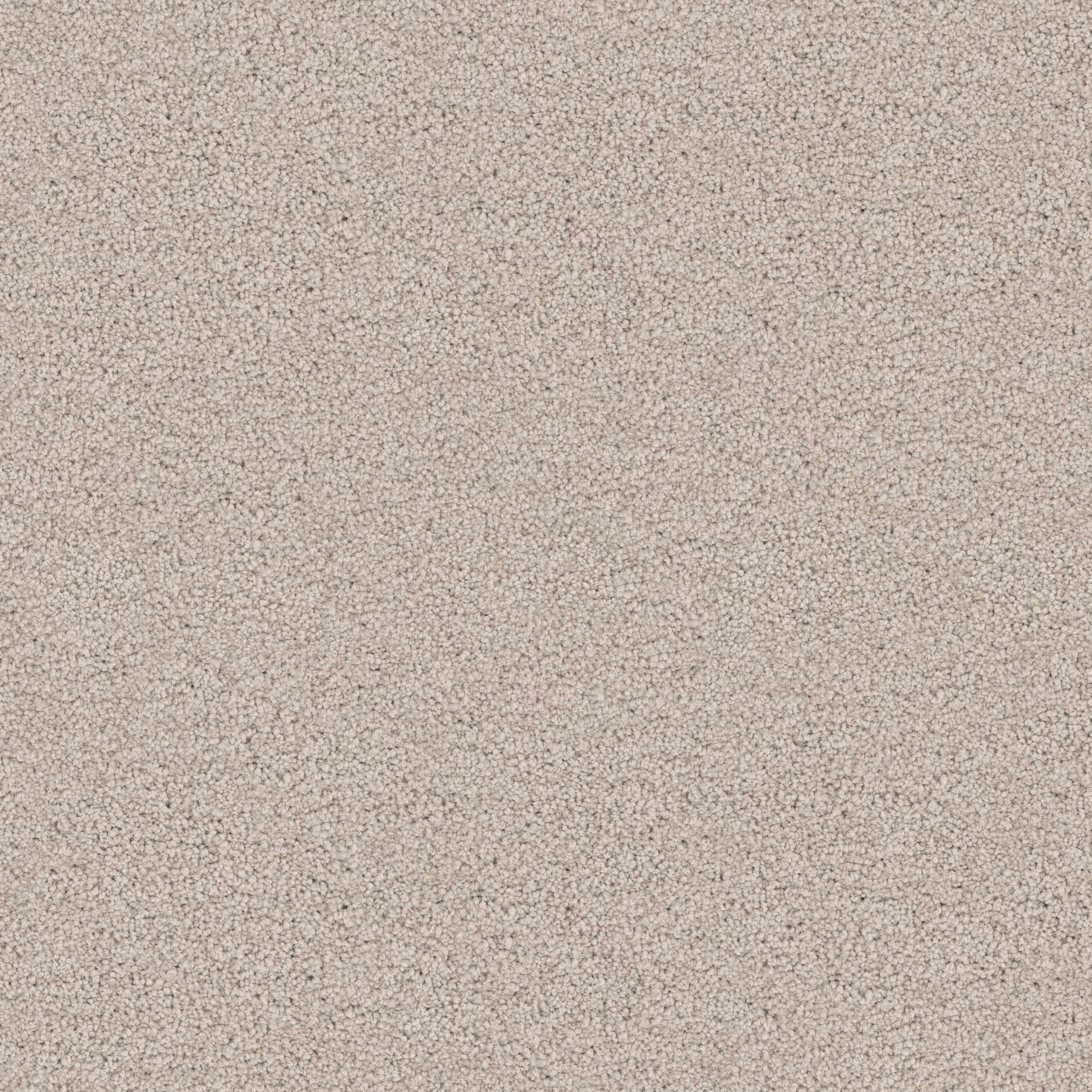 Grand Endurance — Sandy wide view