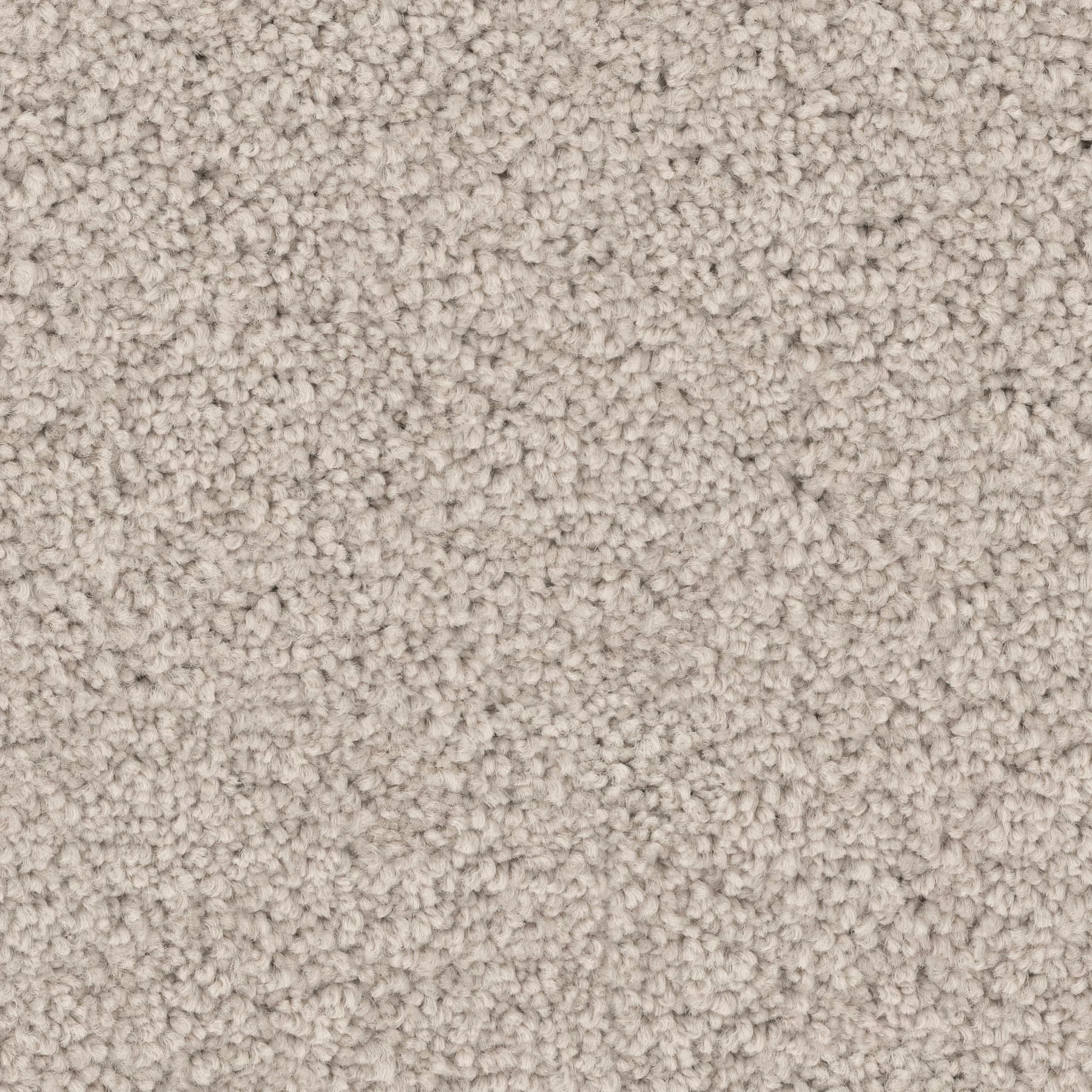 Grand Endurance — Sandy close-up