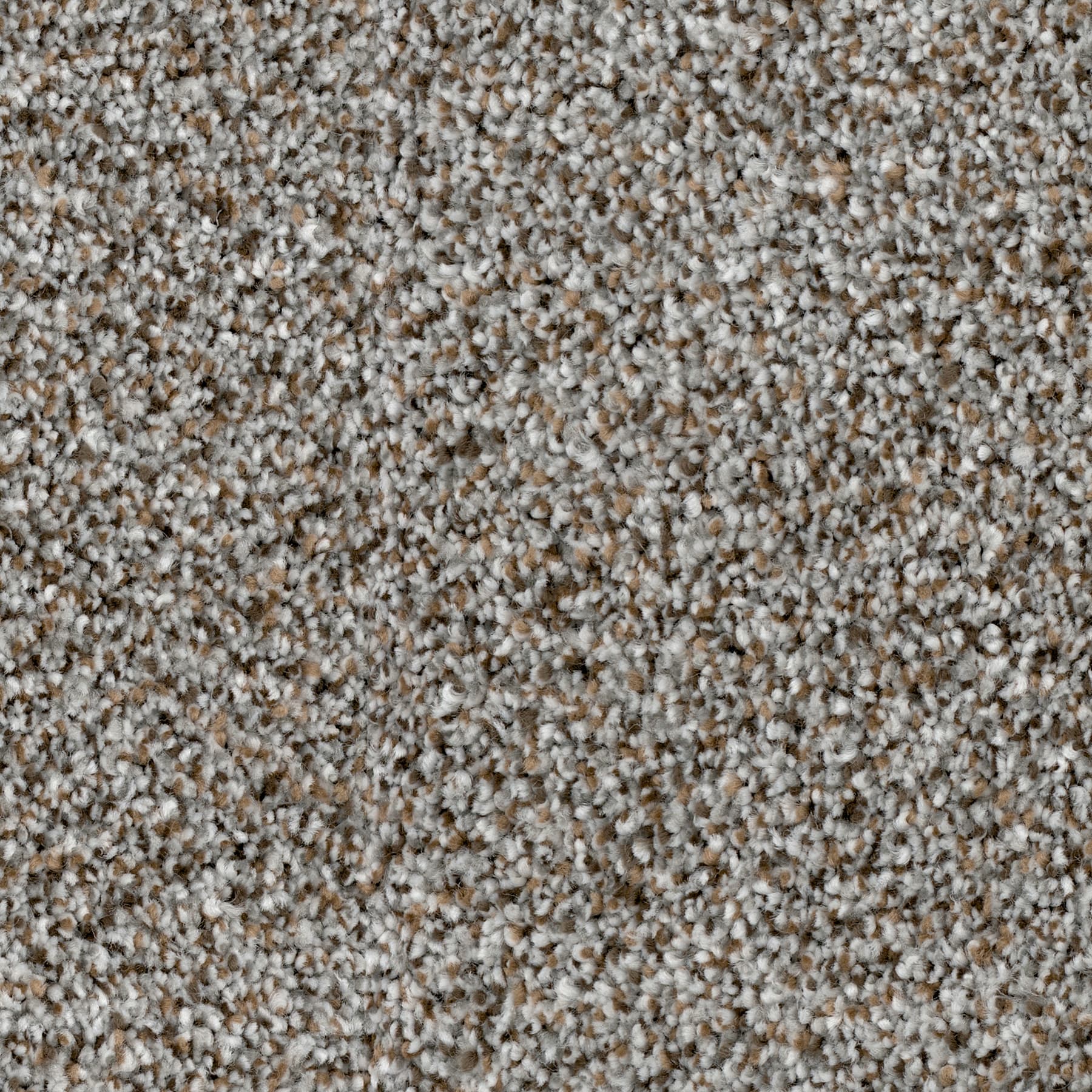 Grand Teton — Meadow Lake close-up